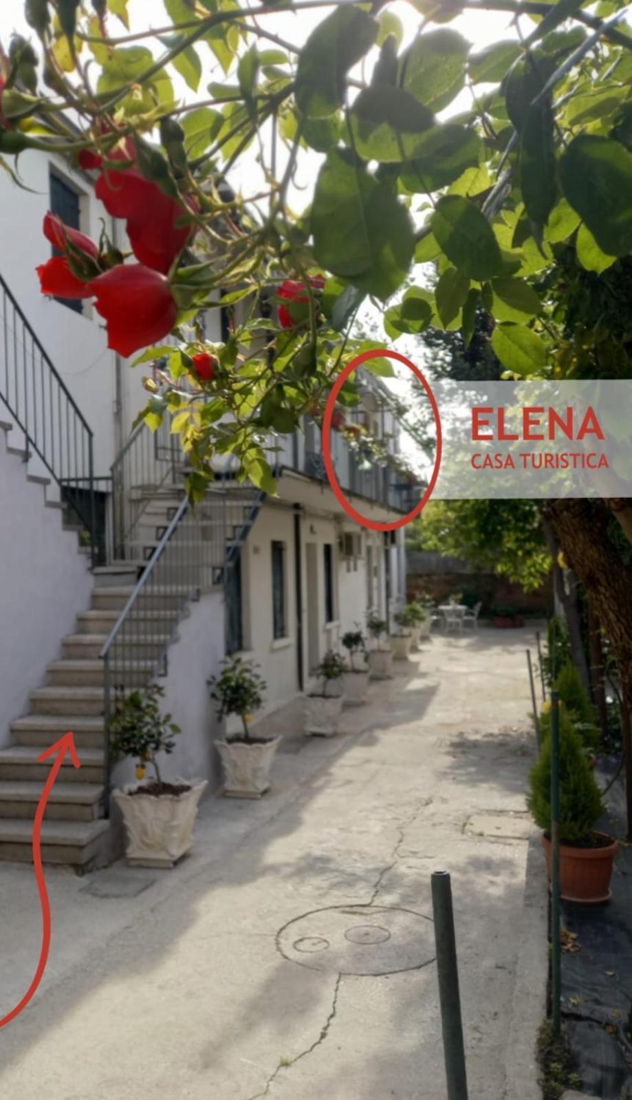 Elena Casa Turistica Leilighet Padova Eksteriør bilde